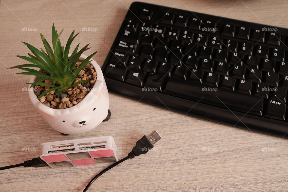 Office supplies. Plant and computer keyboard on desk top