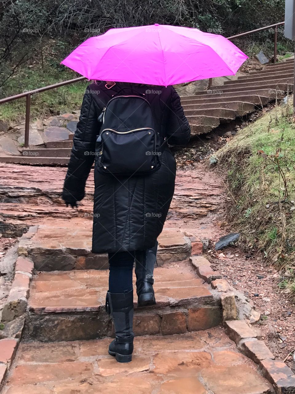 Pink umbrella