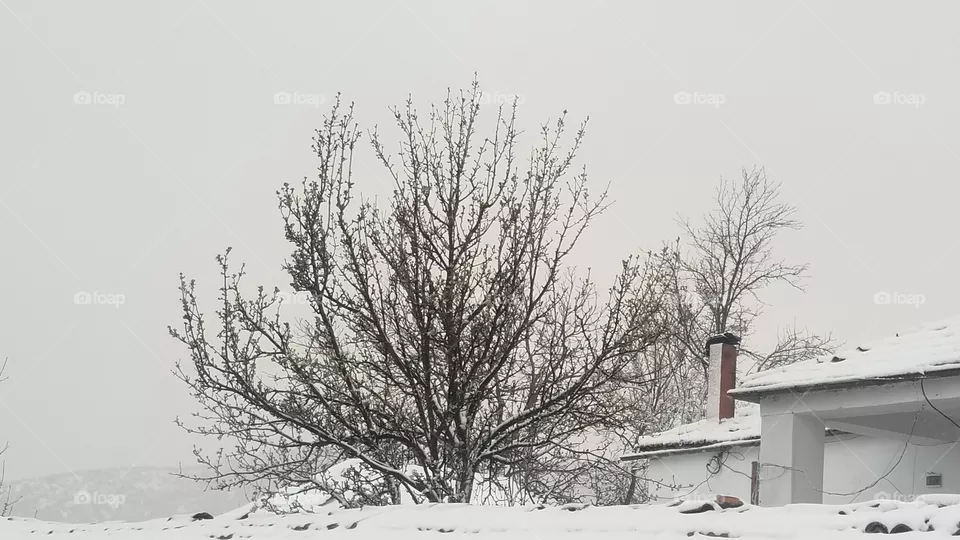 snow