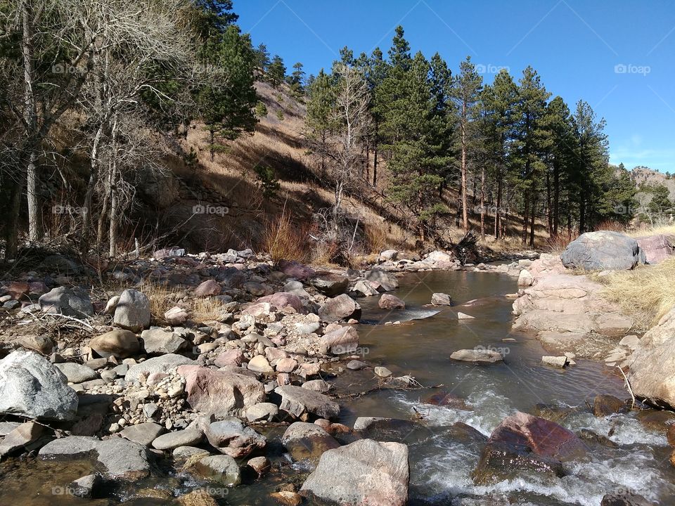 River Path with Rocks