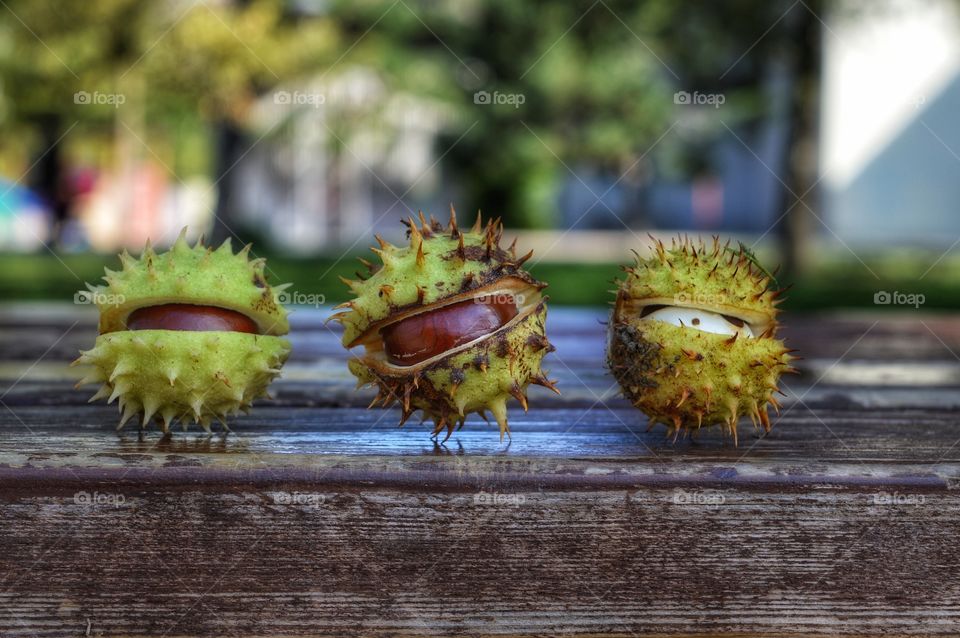 Nature, Fruit, Fall, Food, Wood