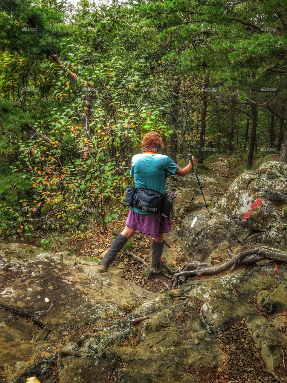 Hiking the Appalachian Trail.