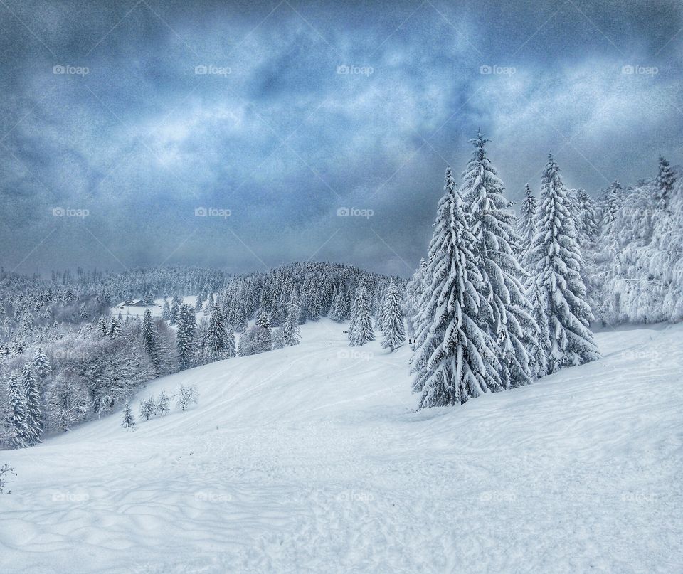 Peace and quiet. Winter landscape in Busteni, Romania.