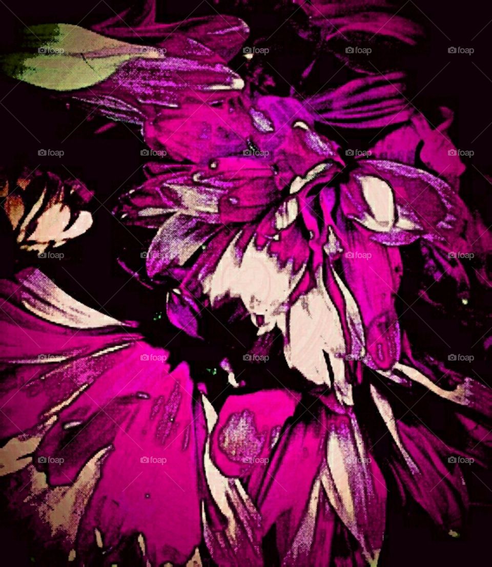 celebration. lighting effects