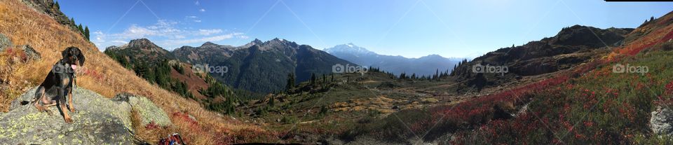 National Forest Playground 