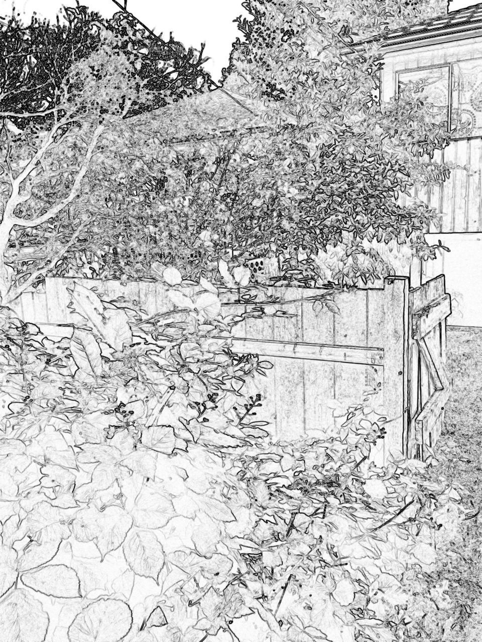 Landscaping Backyard - digital sketch 