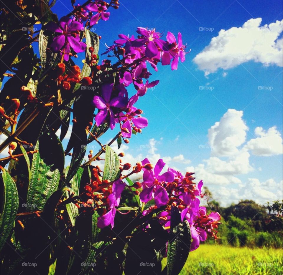 🧠 #Desestressando em #clicks!
📸 #Fotografia é nosso #hobby!
#️⃣ 
#sol #sun #sky #céu #natureza #horizonte #paisagem #inspiração #mobgrafia #XôStress