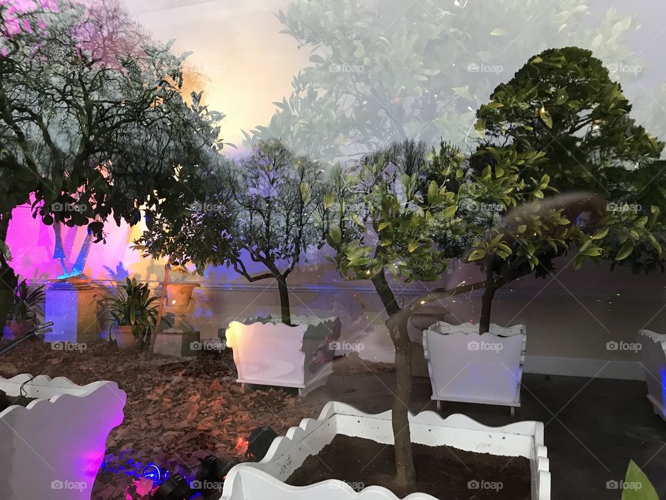 Perfectly pitched illuminated gardens.