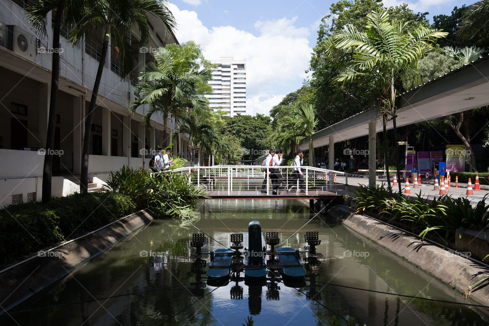 Garden in the university 