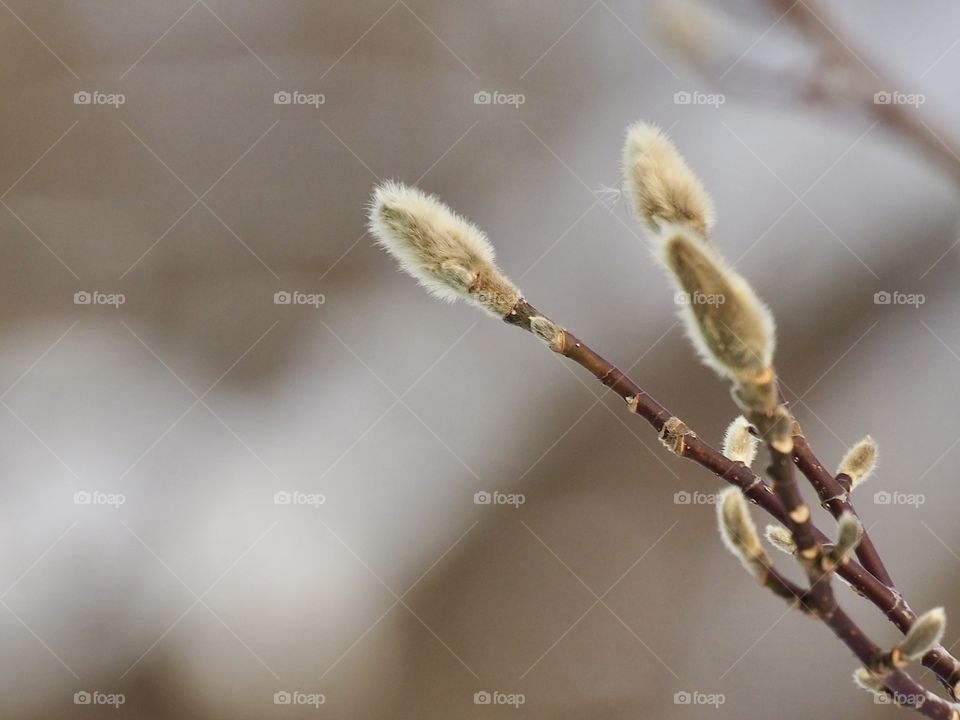 Waiting for warmer days