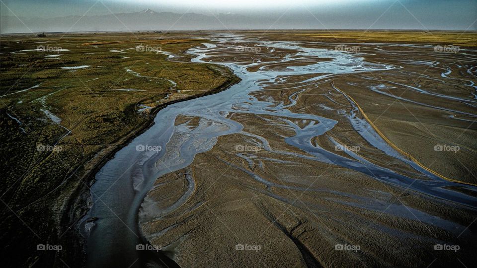 forest waterfall view