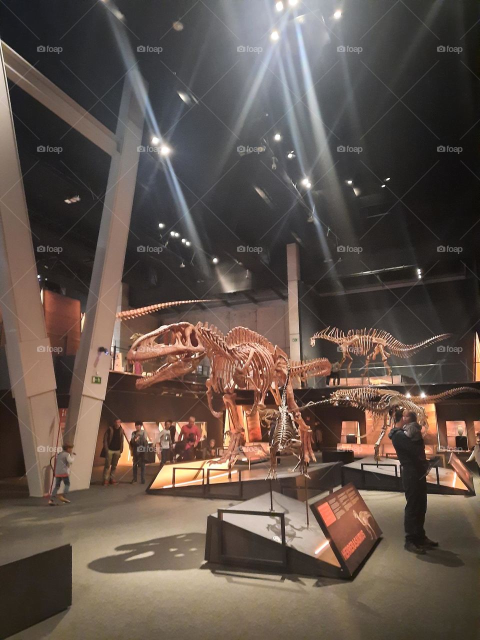 dinosaurs in patagonia exhibition