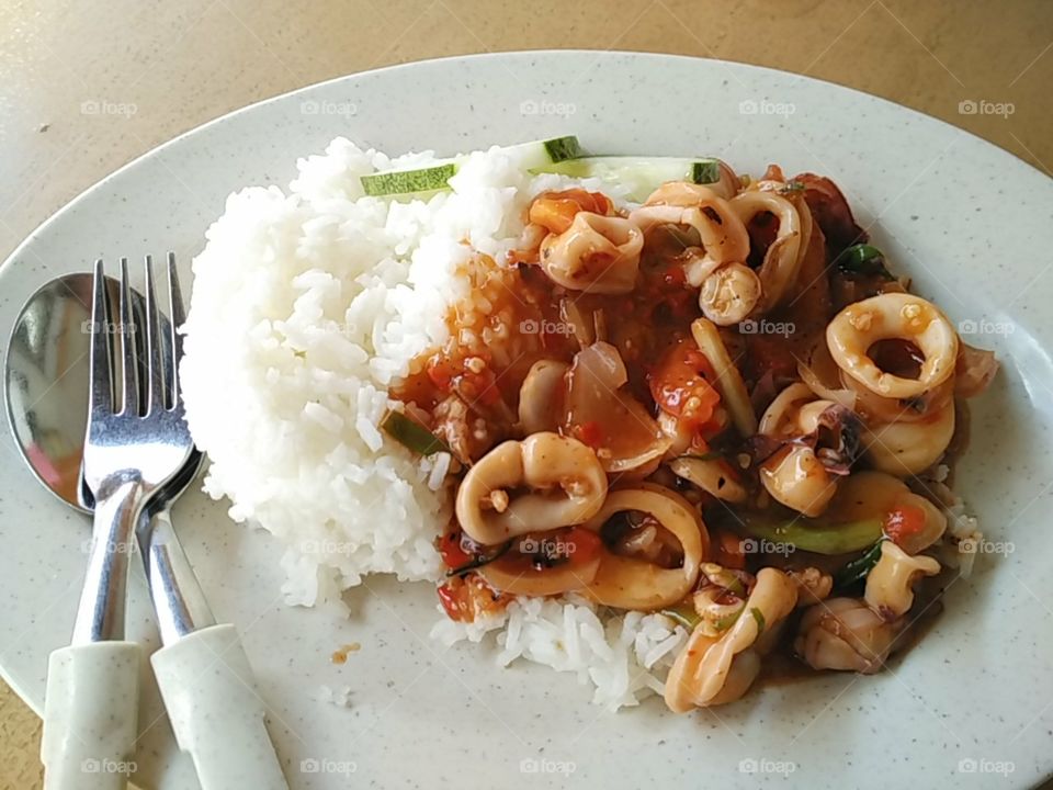 squid lunch