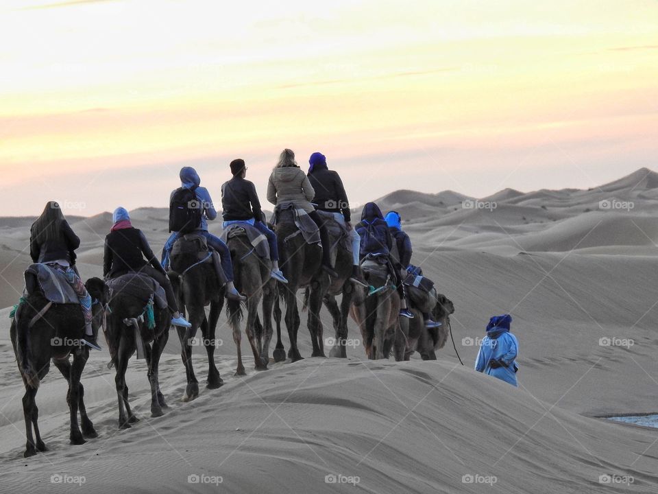 A sunset ride in the Sahara desert