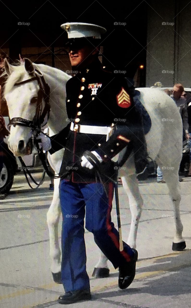 Unknown soldier and horse in parade