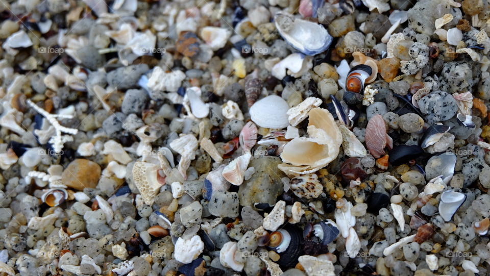 Textures on a beach