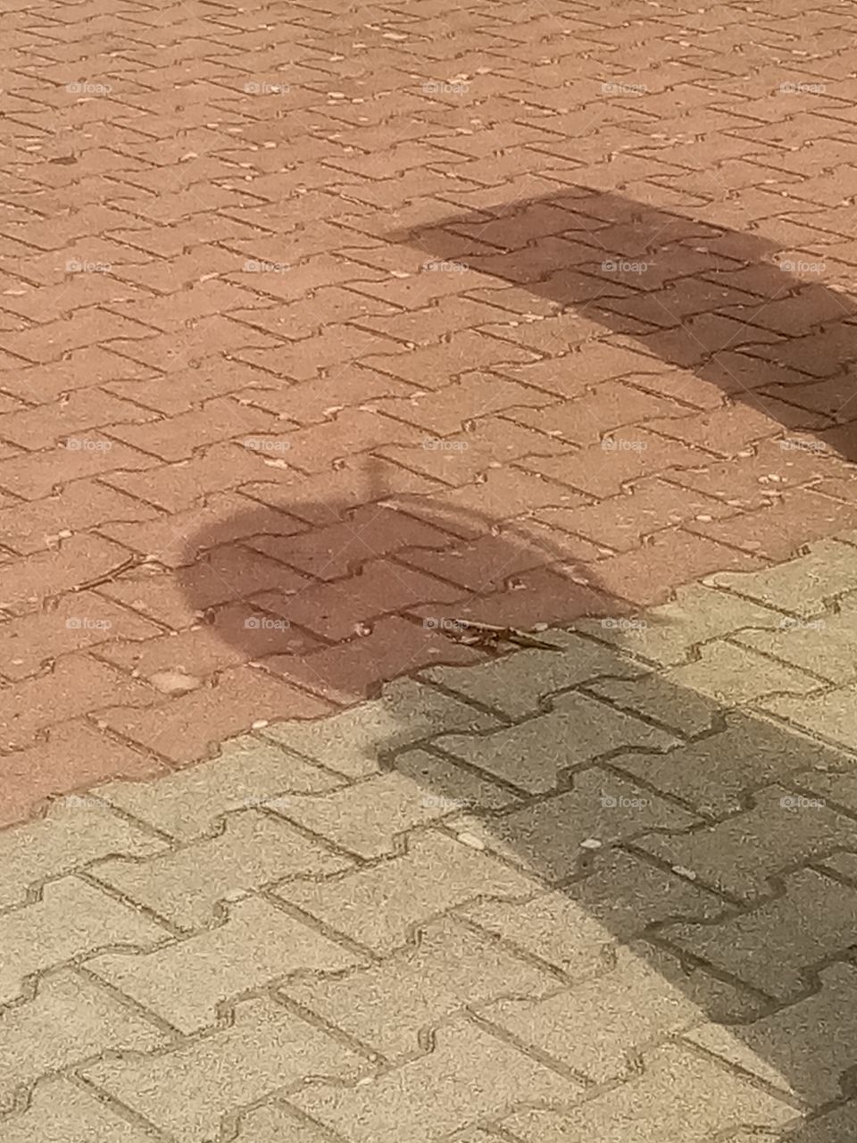 Looking for the Shadow