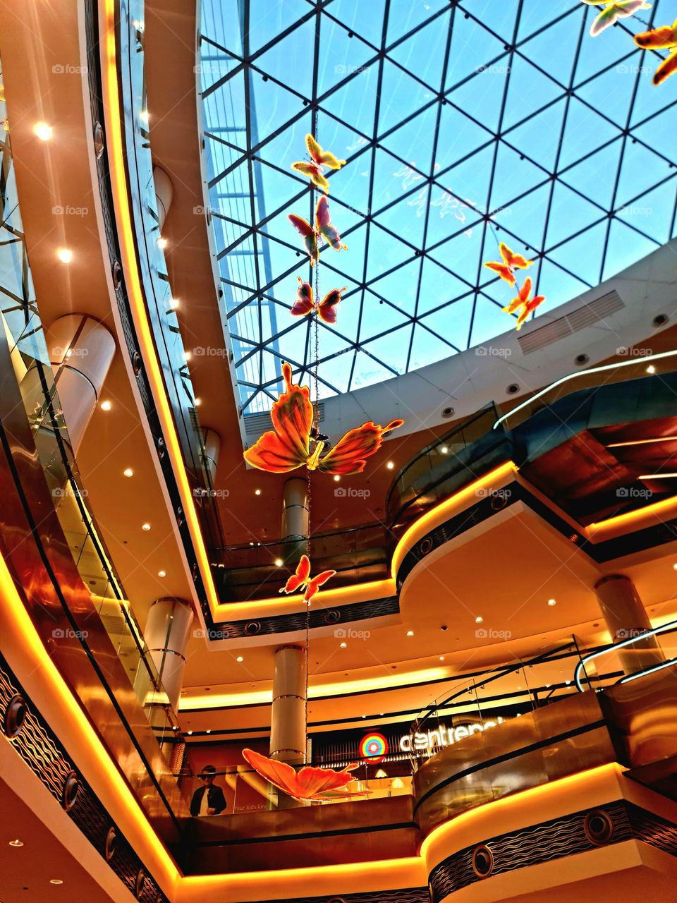 Some designs and decorations in malls are made to feel alive ... In such a way, this butterfly garden seems to be positive and vibrant in the mall ..