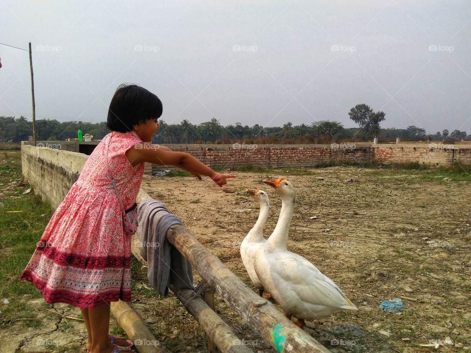 child playing with swan