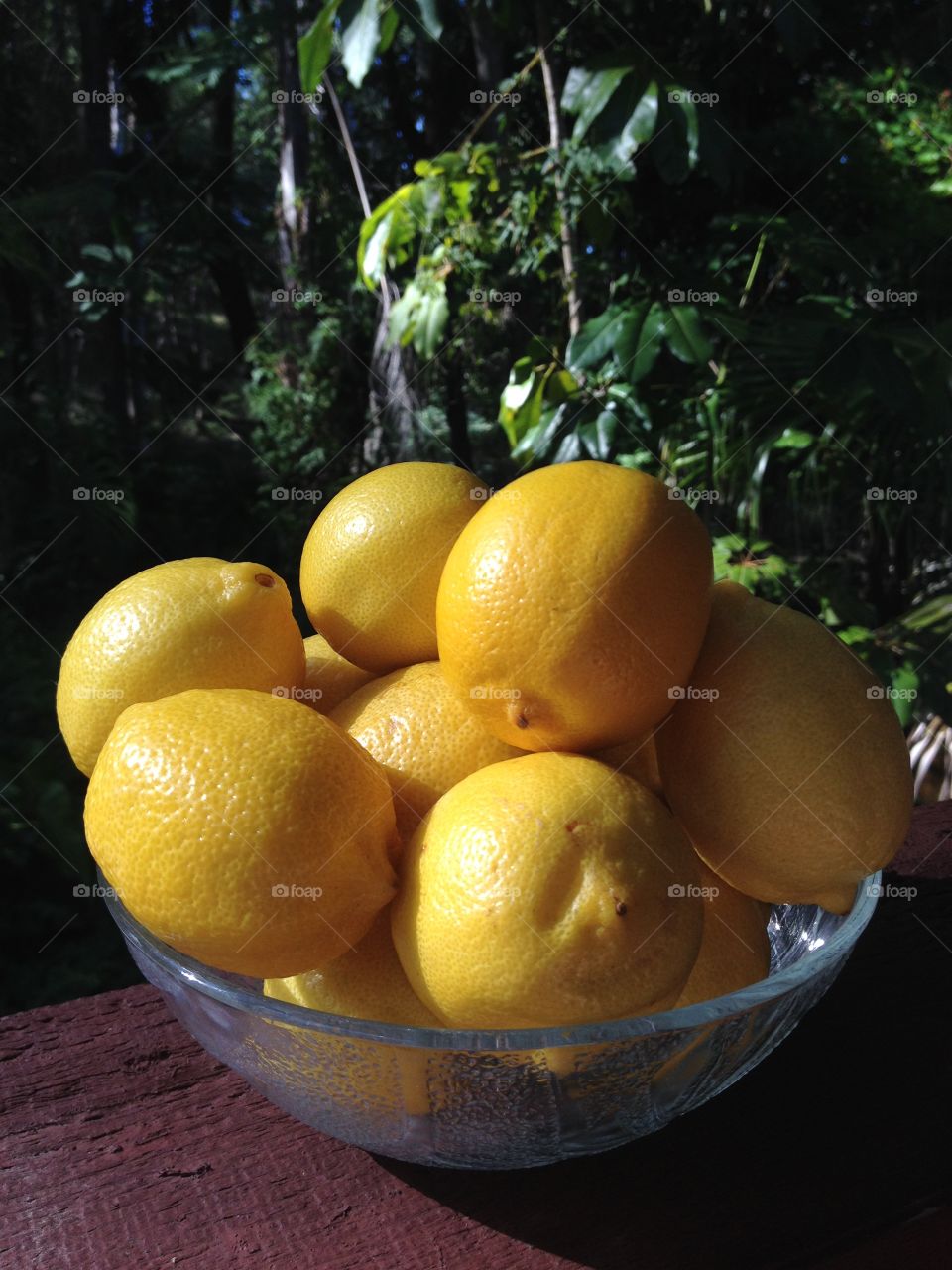 Bowl of Lemons 