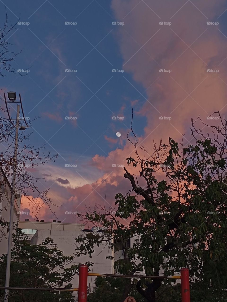 magia de luna y colores del atardecer 🌆