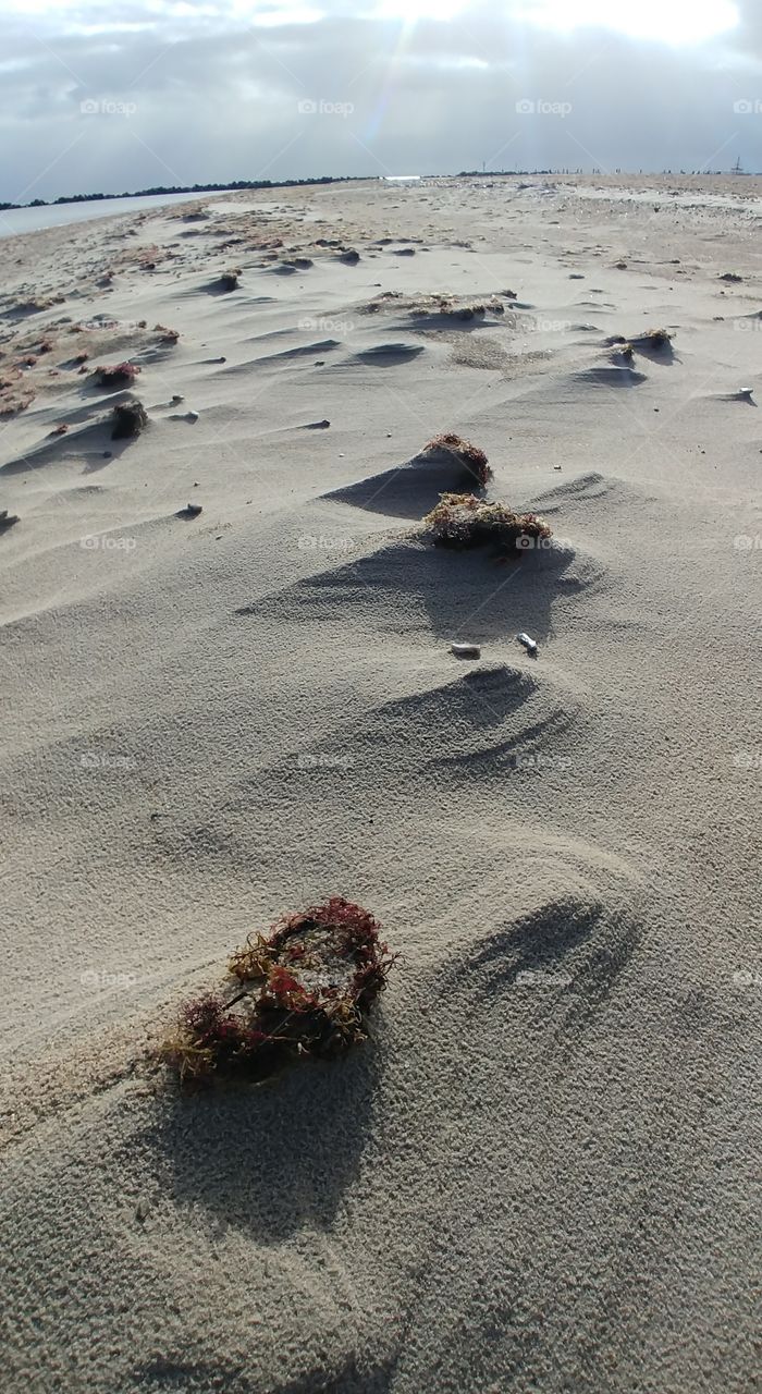 sand wind Strand beach