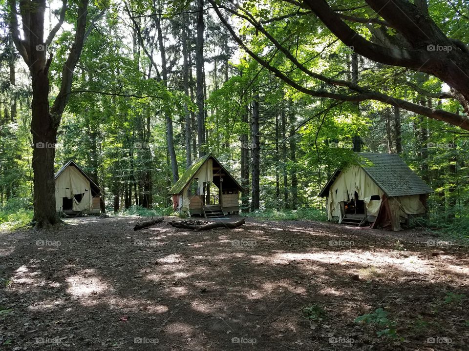 Beechwood Abandoned Campground