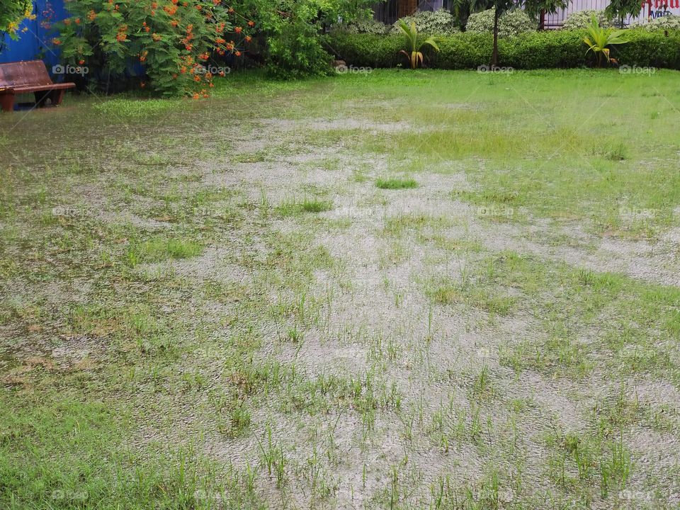 it's Raining
🌨️🌨️🌨️⛈️⛈️
Raindrops 
In Lawn