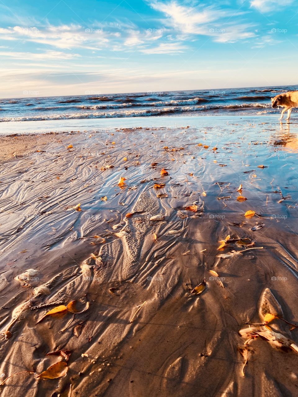 Autumn at the beach