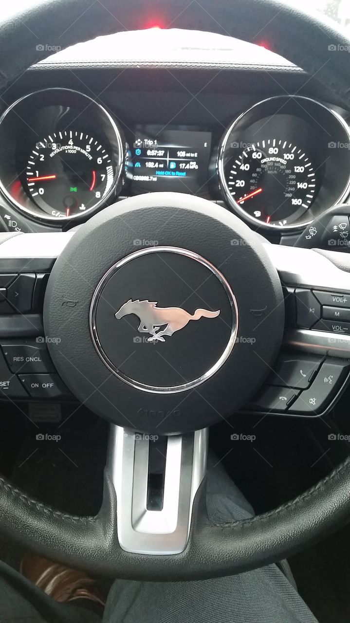 Mustang stearing wheel