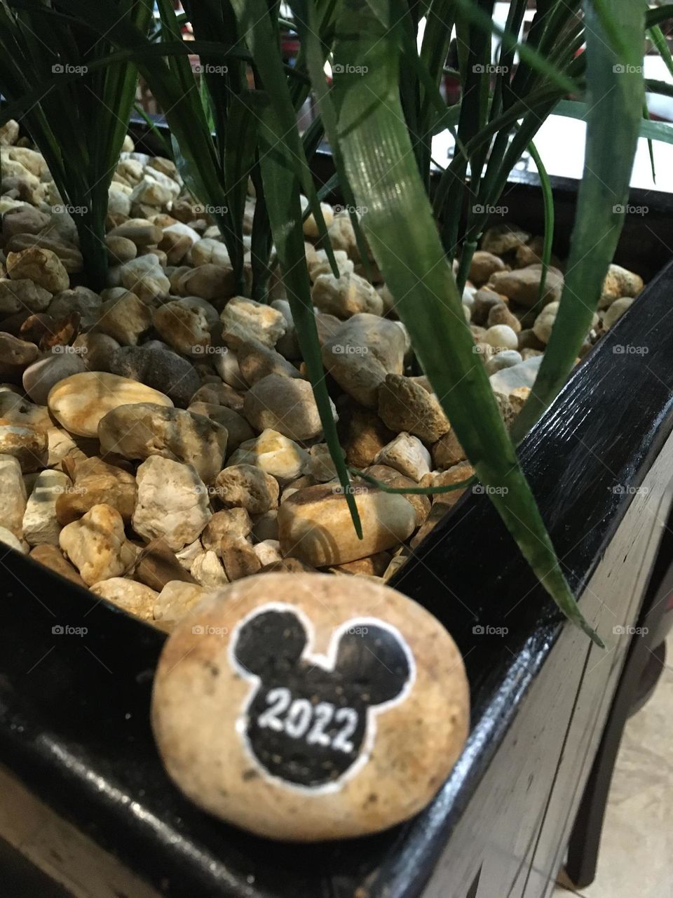 Mickey Mouse ears on a rock 🪨