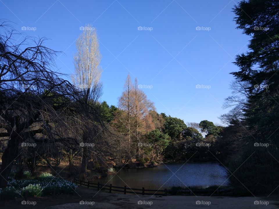 Beautiful park in Tachikawa,Japan 