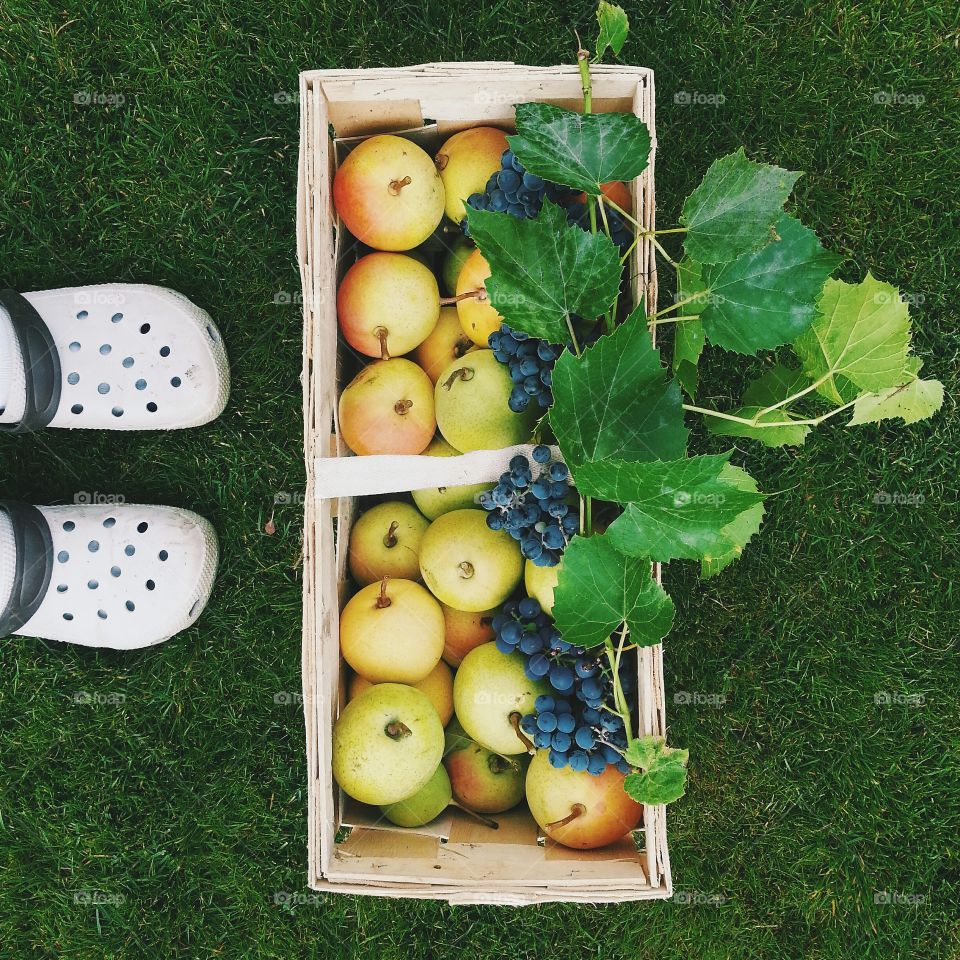 Top view of the feet on the grass with a fruit basket