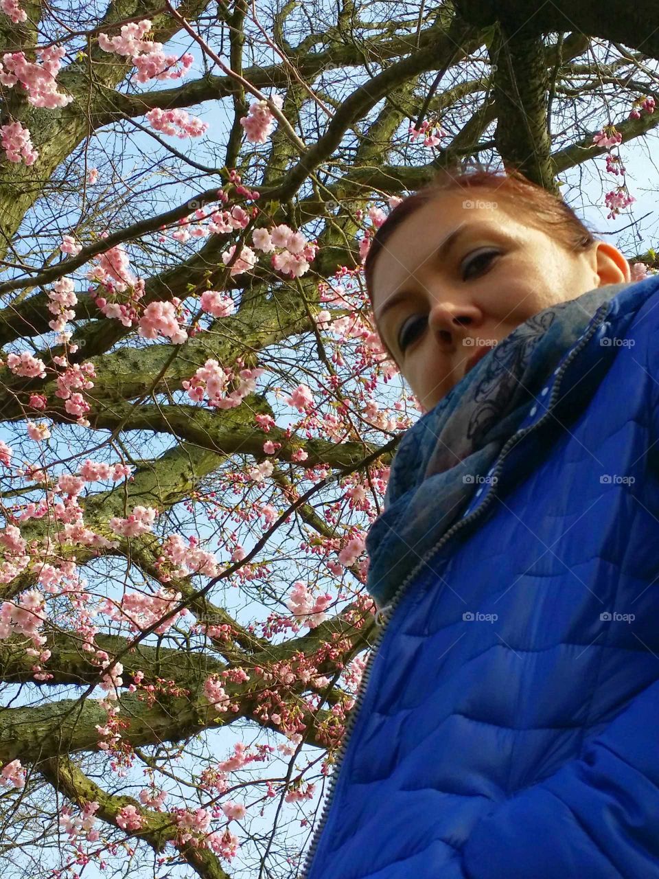 Low angle view of cherry tree with woman