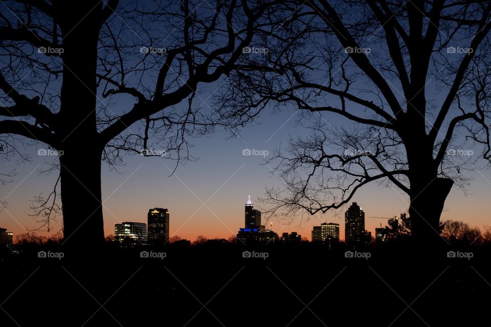 Raleigh, North Carolina is known as the City of Oaks. So here is a morning twilight view of the skyline framed by a pair of mighty oak trees as seen from Dorothea Dix City Park. 