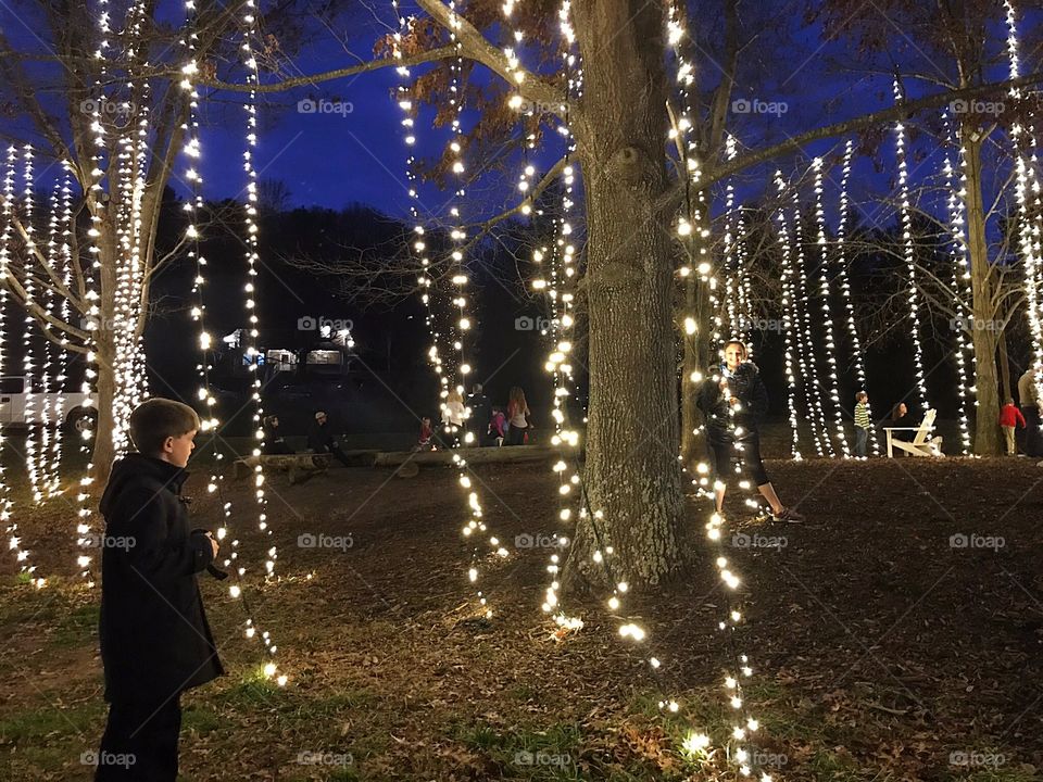 Young boy in grove of trees with lights 