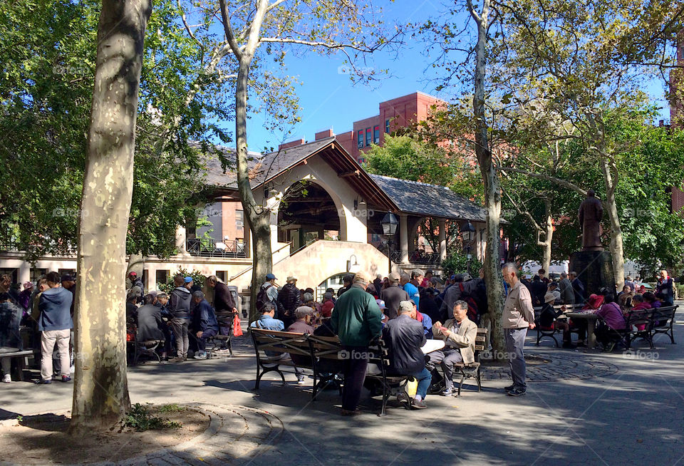 Old people meet at Columbus Park to play cards and other games. 