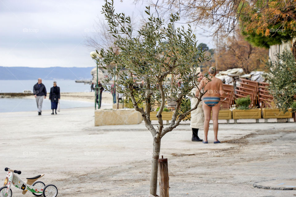 Winter on the beach