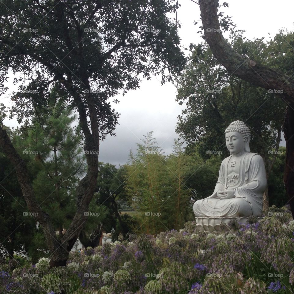 Zen Buddha garden