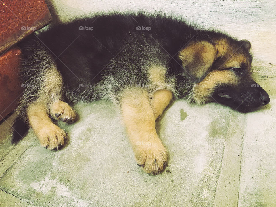 Hmmm...why don't you just leave me alone. See? I'm sleeping. Can you go and come back later?