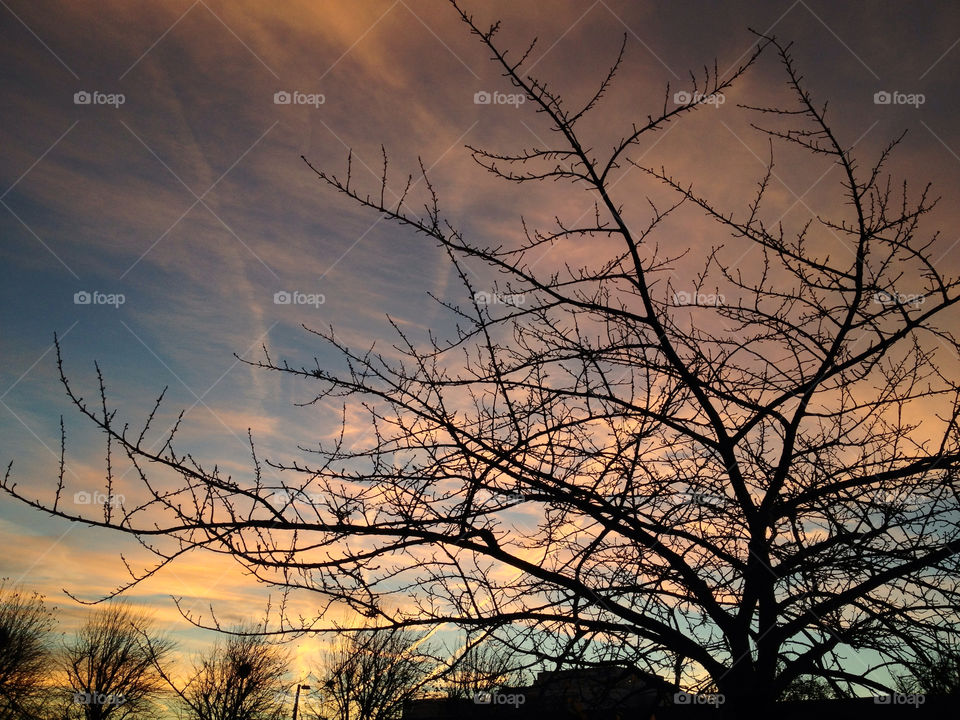 tree sunrise sky clouds by alexchappel