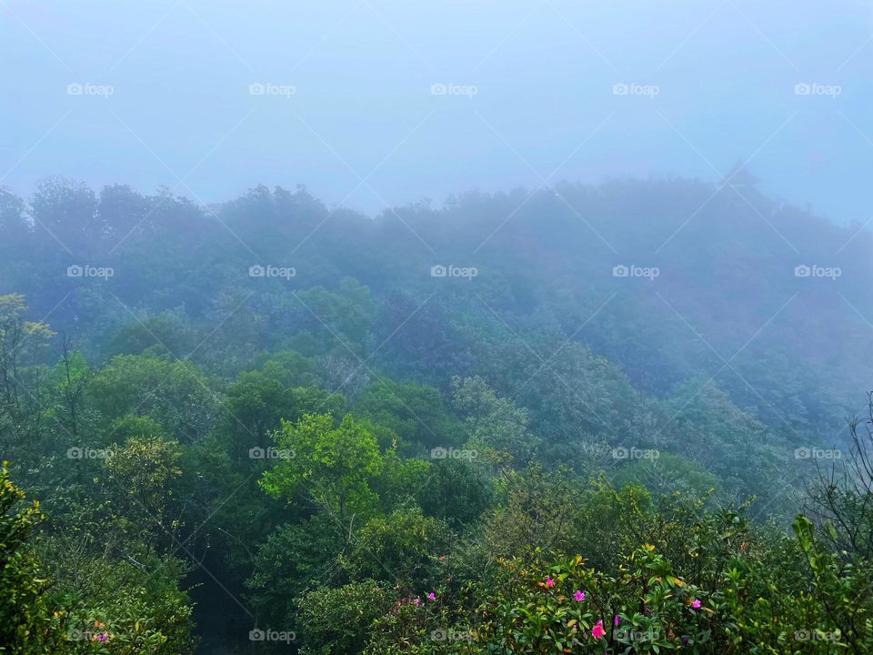 surrounded by clouds