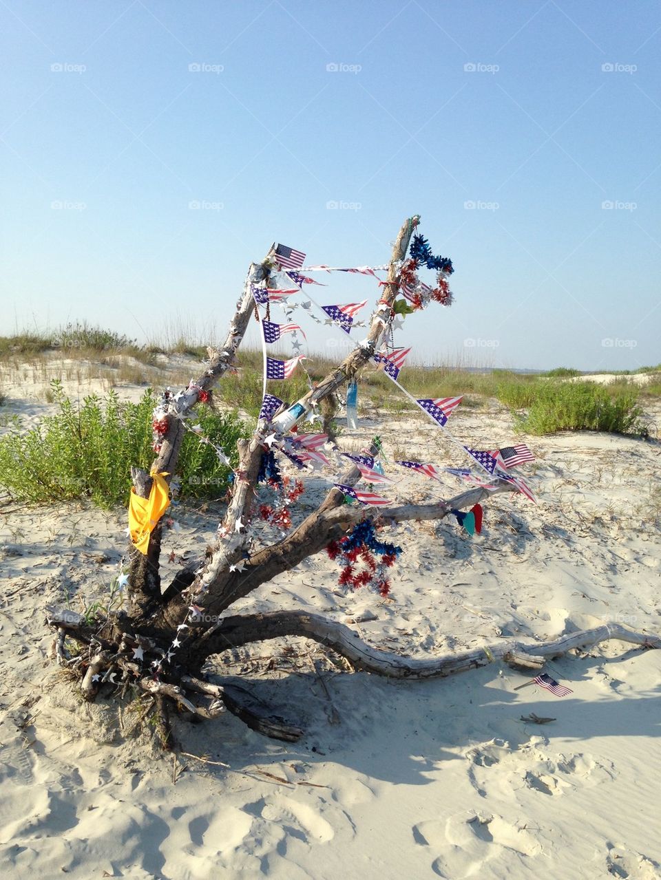 Flags on driftwood at the beach