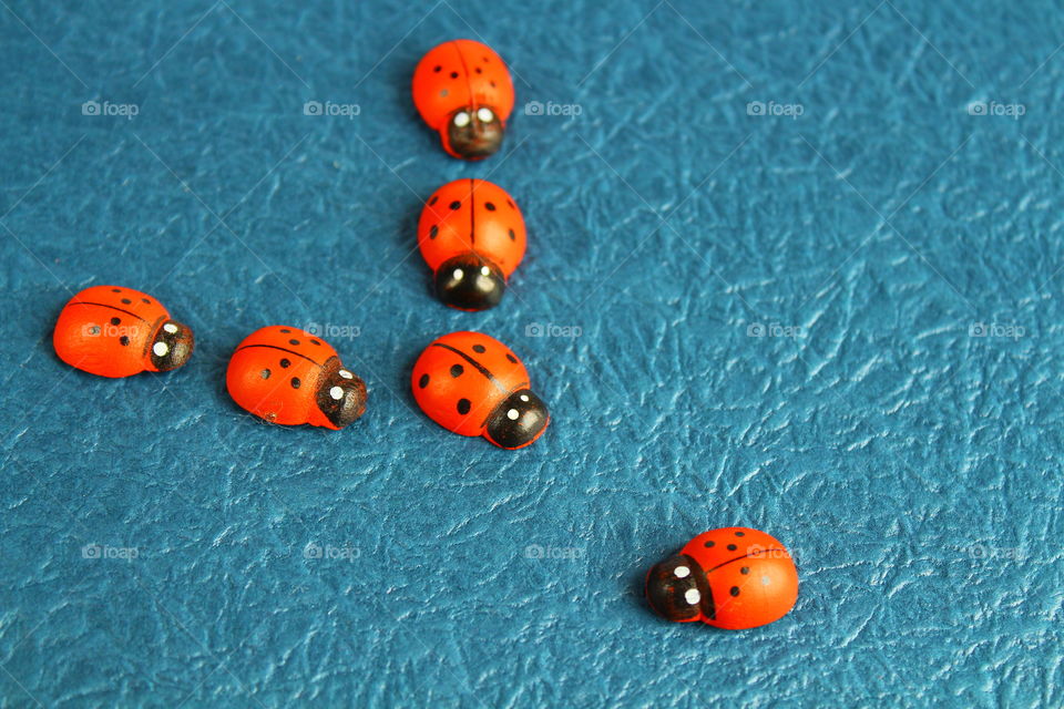 Ladybug decorations