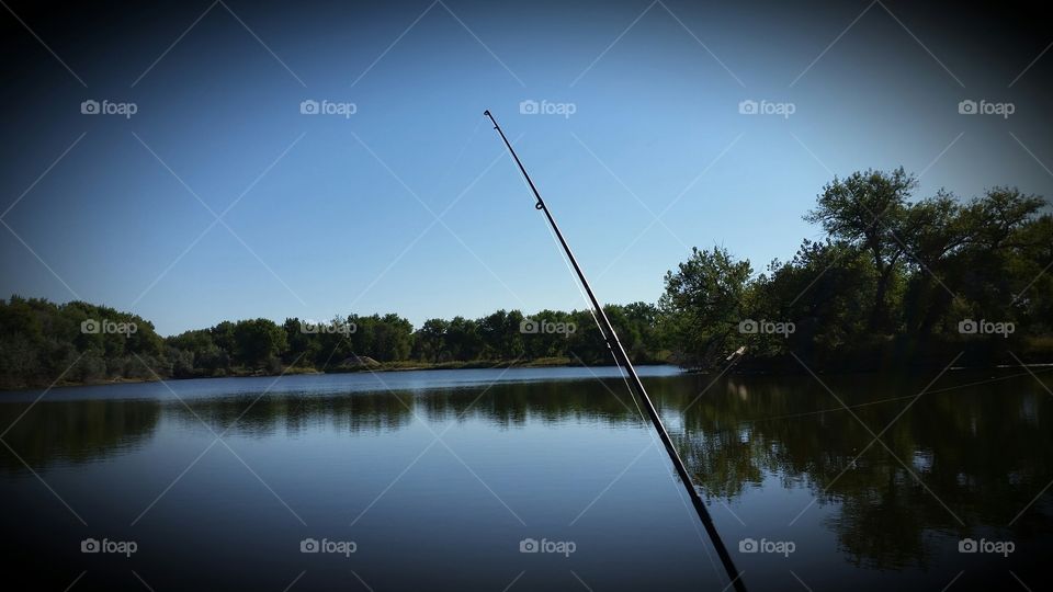 Pond Fishing