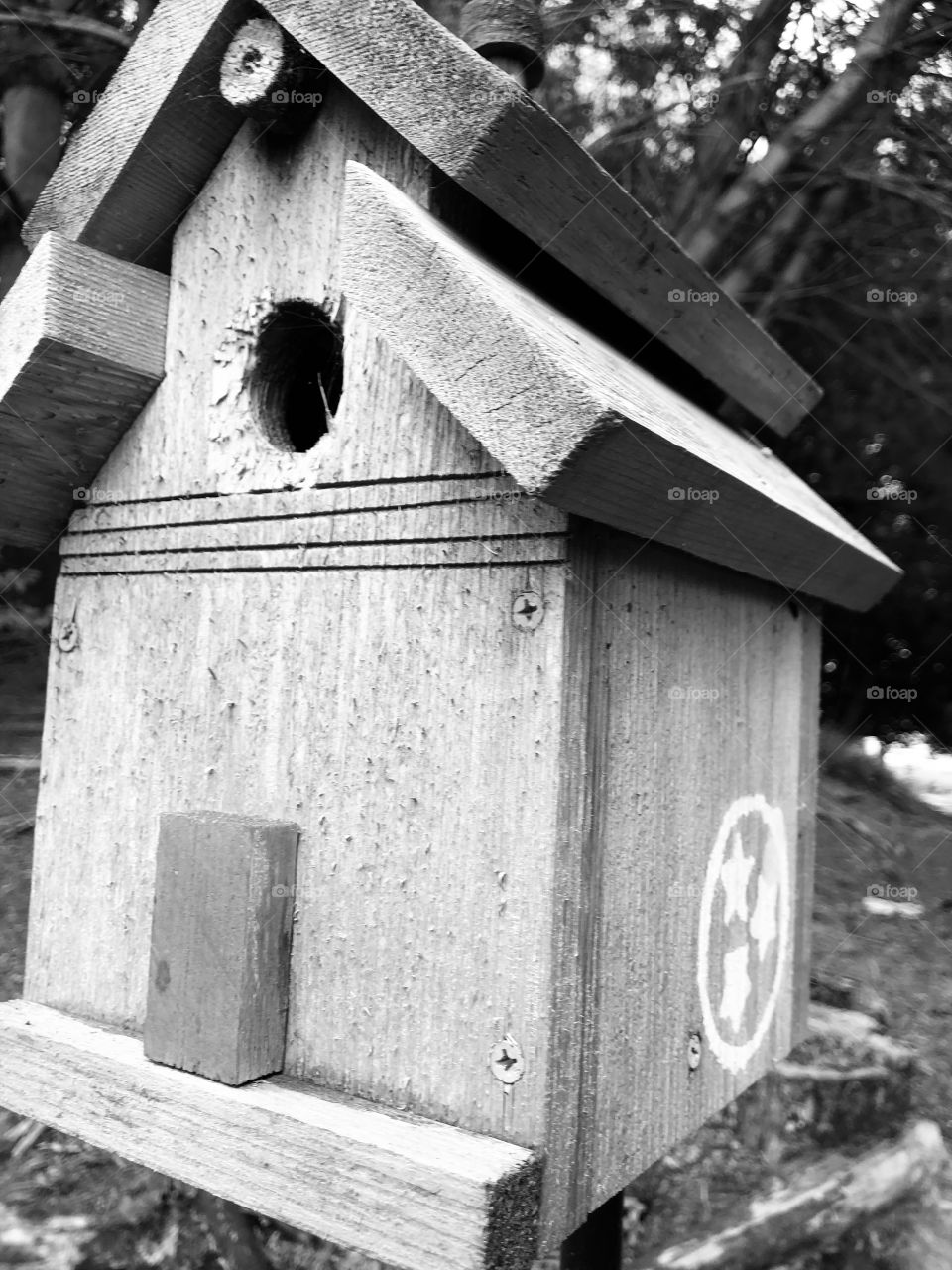 Birdhouse 