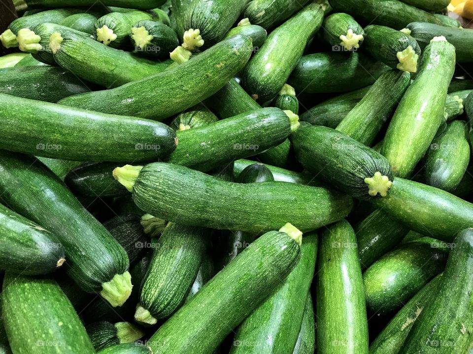 Farm fresh zucchini squash 