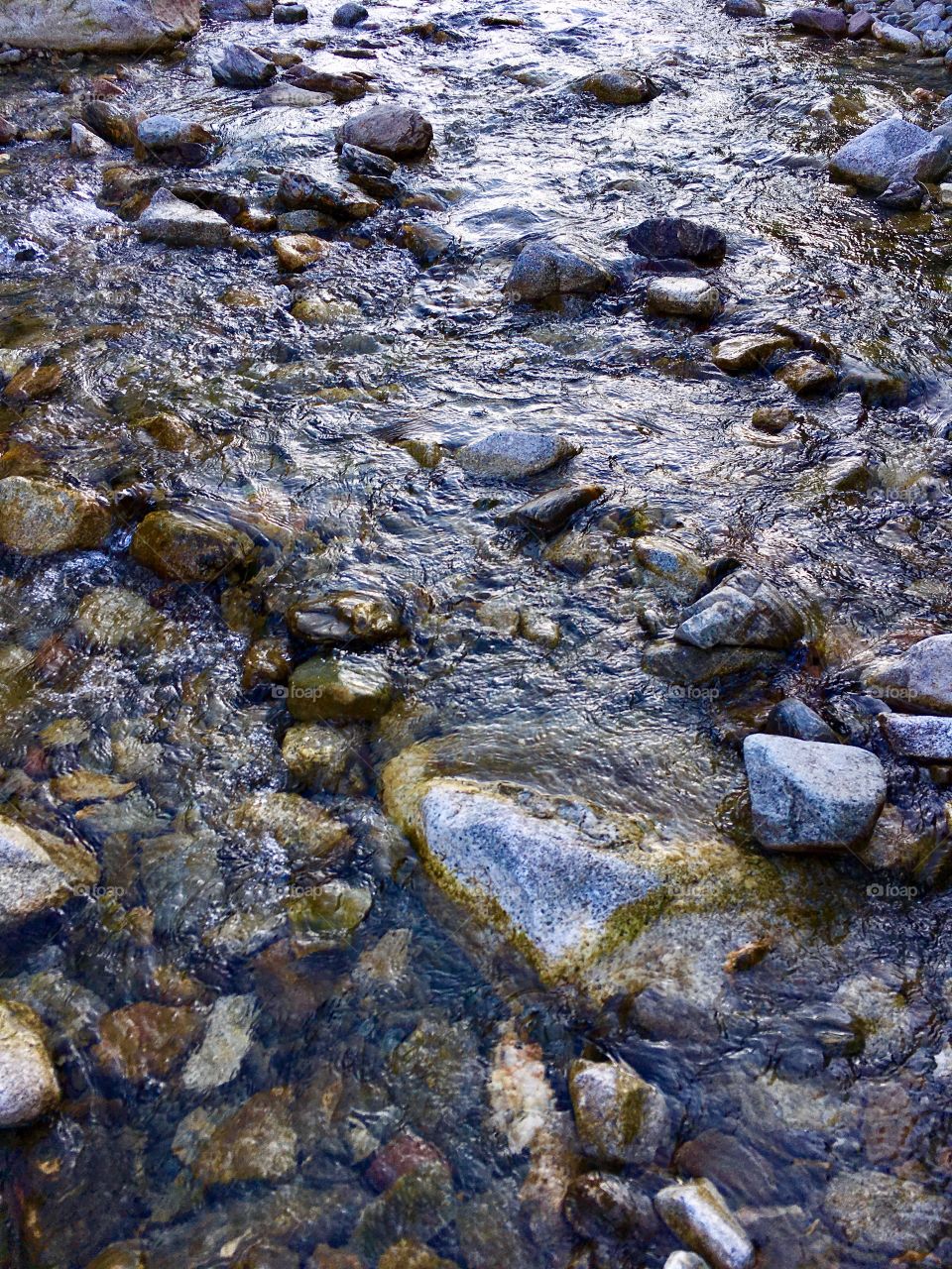 Vanoi stream, valley of the Vanoi, near Refavaie refuge, municipality of Canal San Bovo, Trentino, Italy
