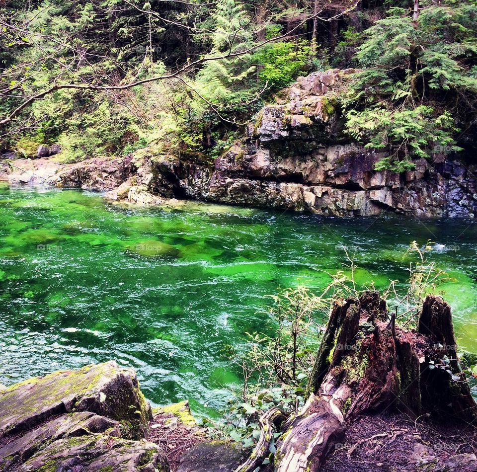 View of a green river
