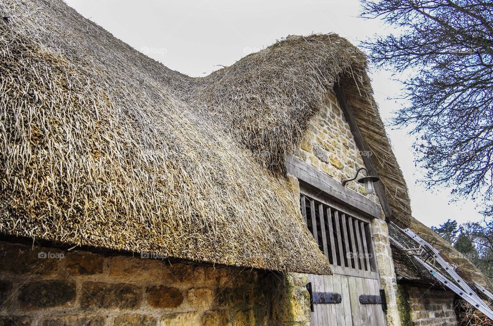 House. Thatch